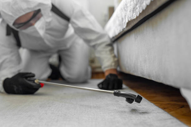 Professional Cockroach Control technician working in Sesser, IL