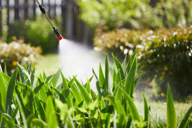 24/7 Emergency Cockroach Control experts in Sesser, IL