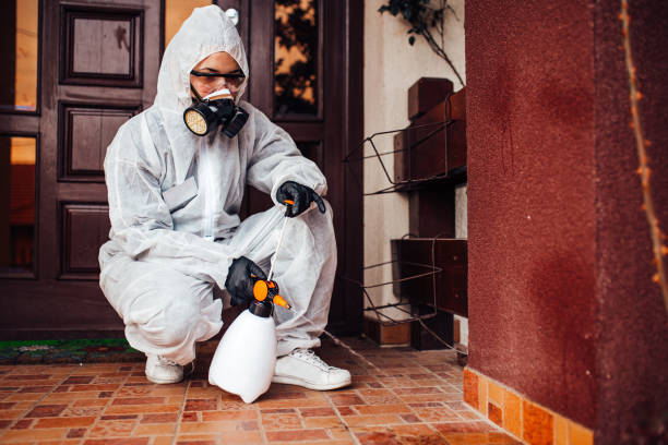 Reliable Cockroach Control contractor in Sesser, IL by Nex Pest Control